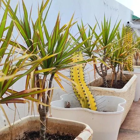 Hébergement de vacances Murillos 2