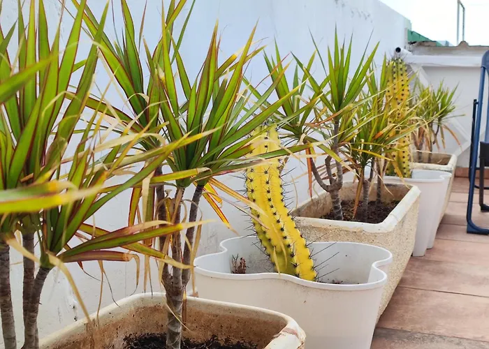 Semesterbostad Murillos 2