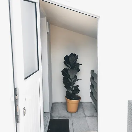 Murillos 2 Las Palmas / Gran Canaria