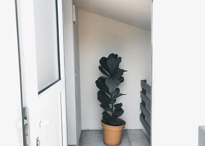 Murillos 2 Las Palmas / Gran Canaria